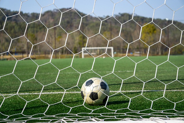 的实际表现 的实际表现