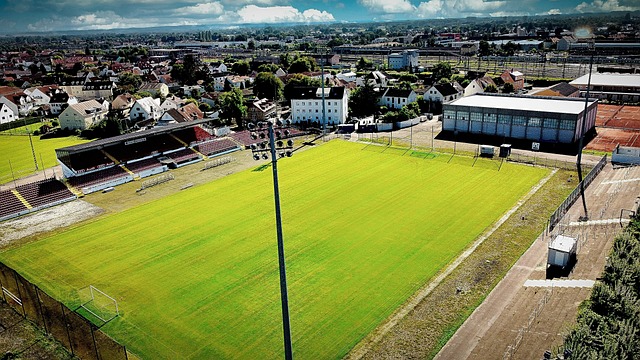 並激發了隊 並激發了隊