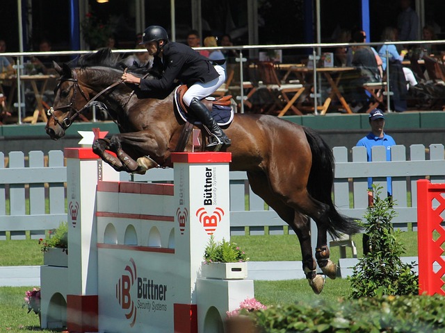 另一个真实 另一个真实