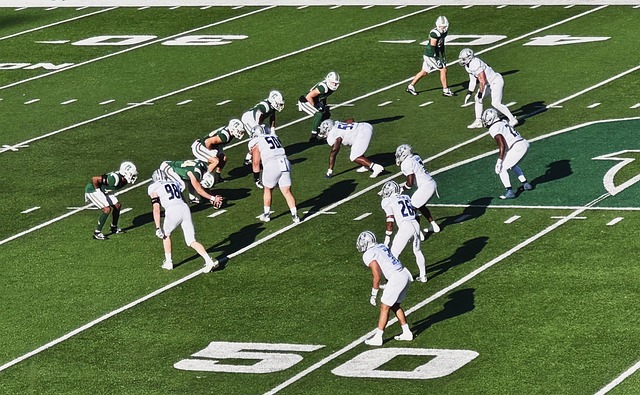 教育体系中 教育体系中