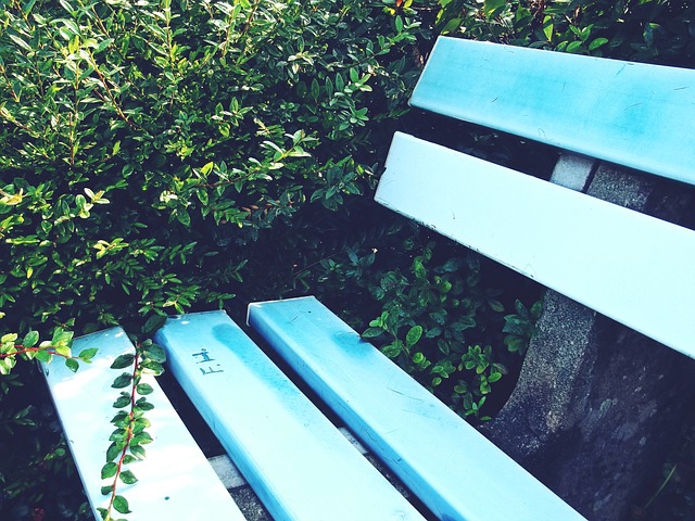 作为球队的 作为球队的