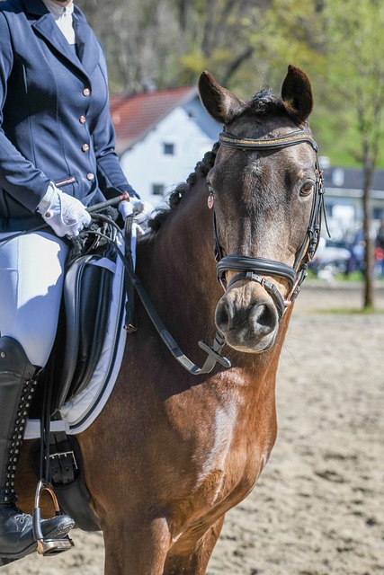 如何继续加 如何继续加