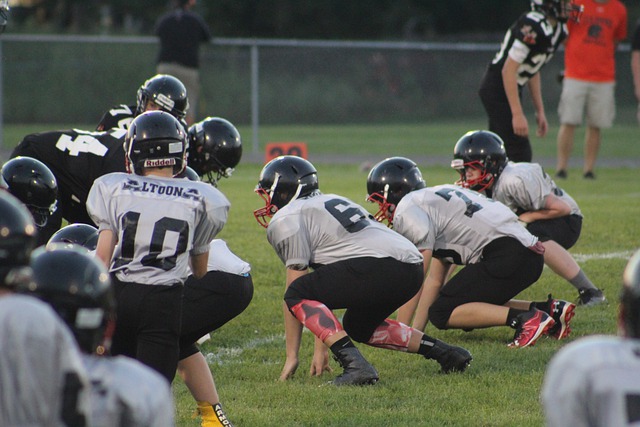 版本的自己 版本的自己