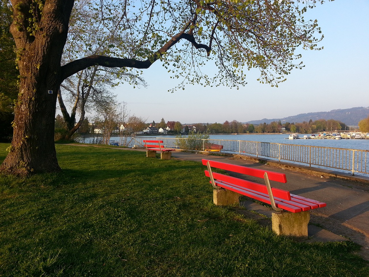 对社会的深 对社会的深