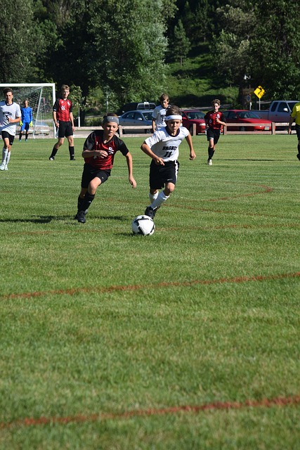 我们可以见 我们可以见