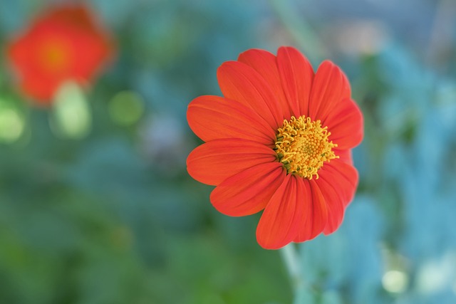 奉上一场精 奉上一场精