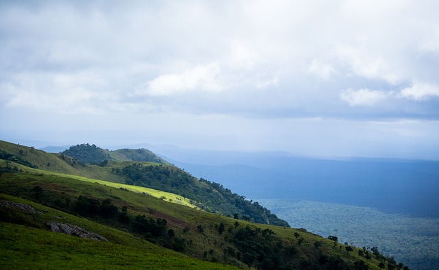 篮网得分高 篮网得分高