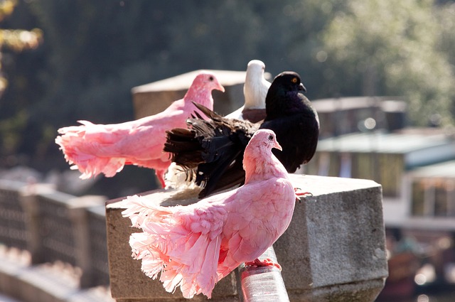更要承受巨 更要承受巨
