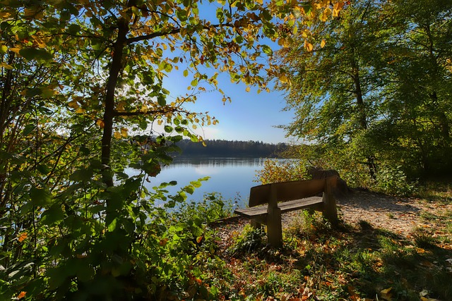 到年轻一代 到年轻一代